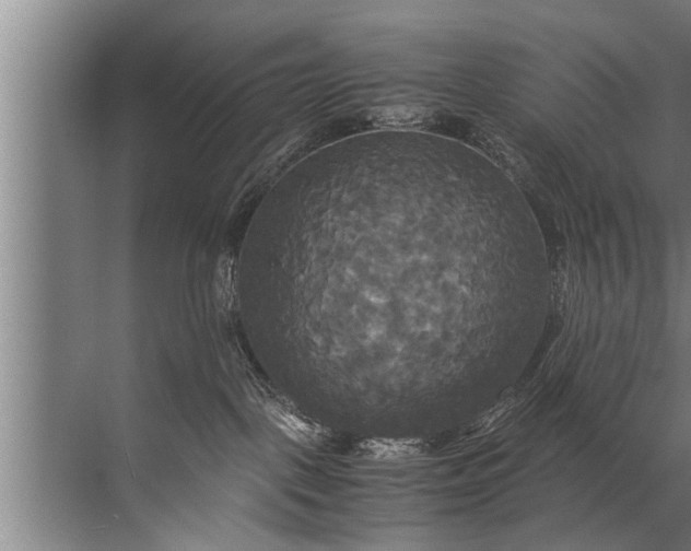 X0000072520093200607290209