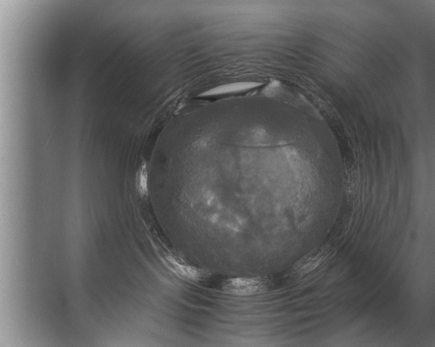 X0000072520095200607290209