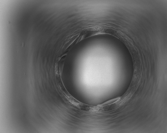 X0000072520096200607290209