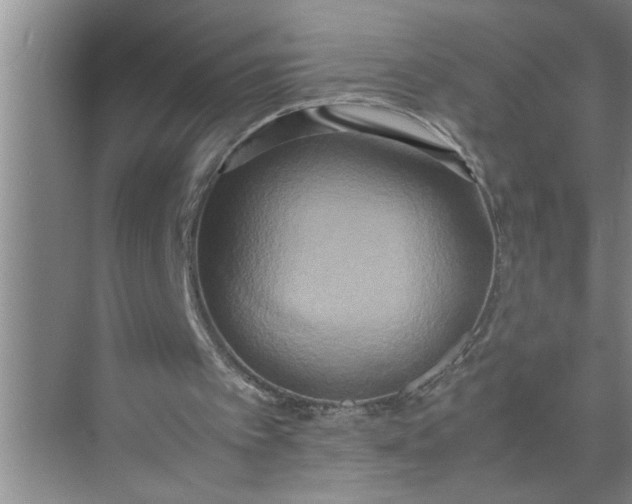 X0000072520097200607290209