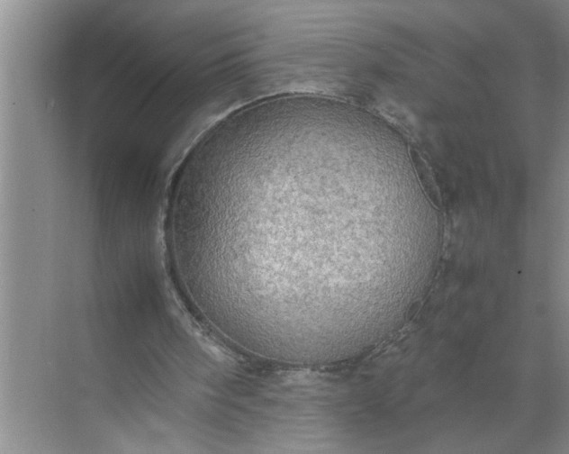 X0000072520098200607290209