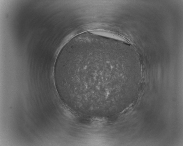 X0000072520099200607290209