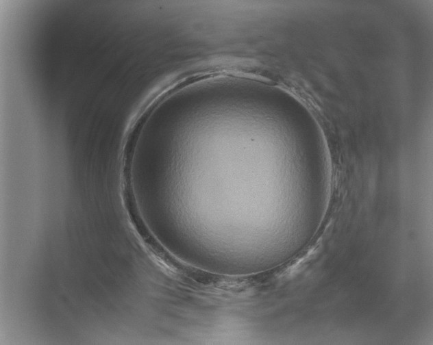 X0000072520101200607290209