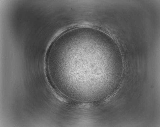 X0000072520102200607290209