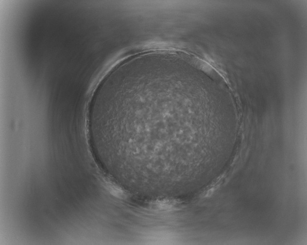 X0000072520103200607290209