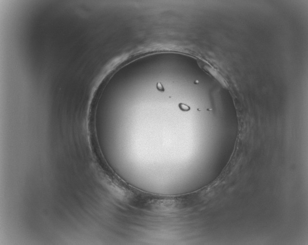 X0000072520104200607290209