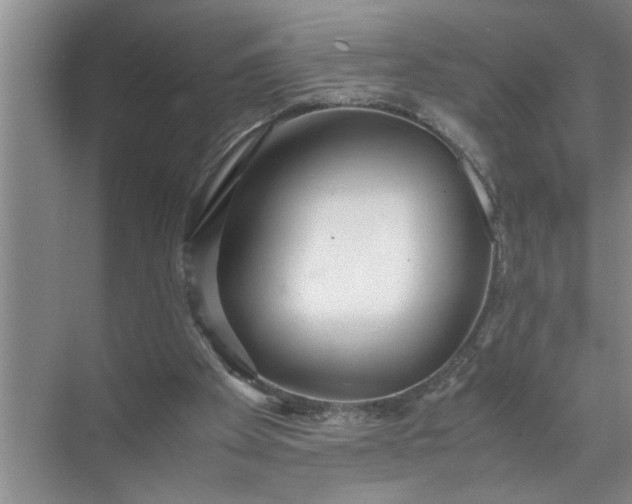 X0000072520105200607290209