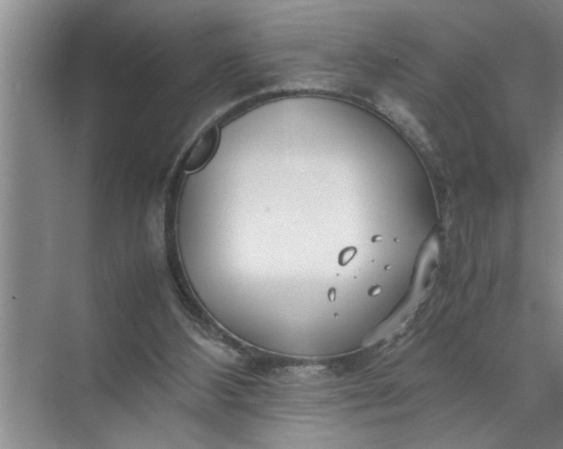 X0000072520108200607290208