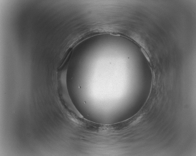 X0000072520109200607290208