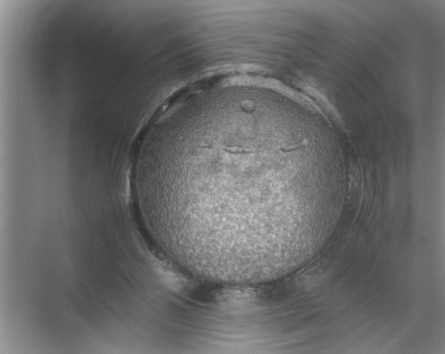 X0000072520110200607290208