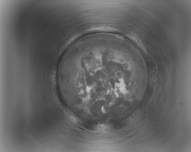 X0000072520111200607290208