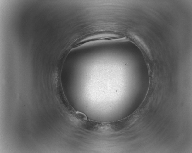 X0000072520113200607290208