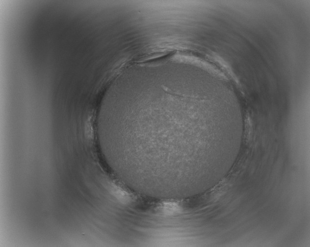 X0000072520114200607290208