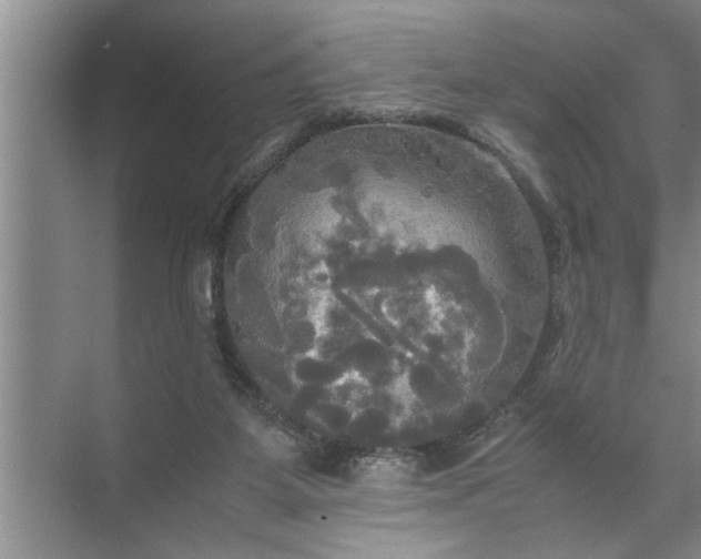 X0000072520115200607290208