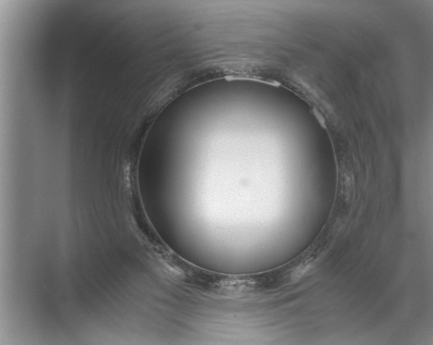 X0000072520117200607290208