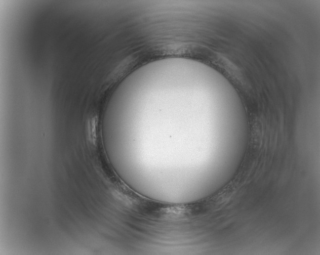 X0000072520118200607290208