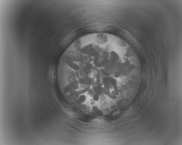 X0000072520119200607290208