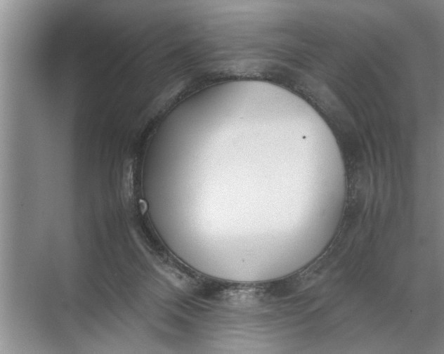 X0000072520120200607290208