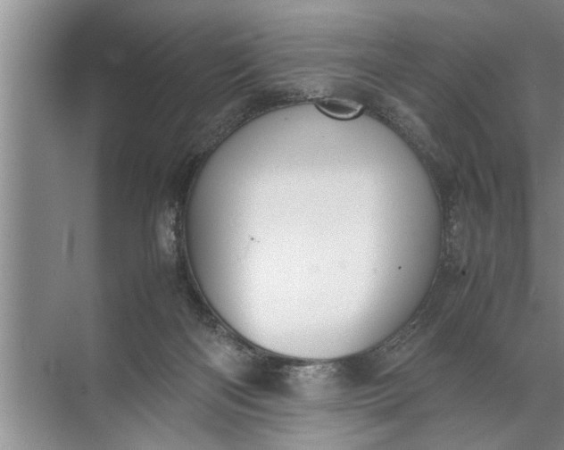 X0000072520122200607290208