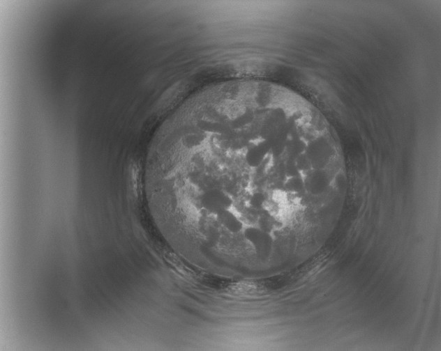 X0000072520123200607290208