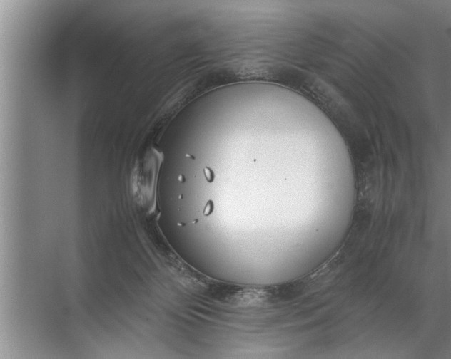 X0000072520124200607290208