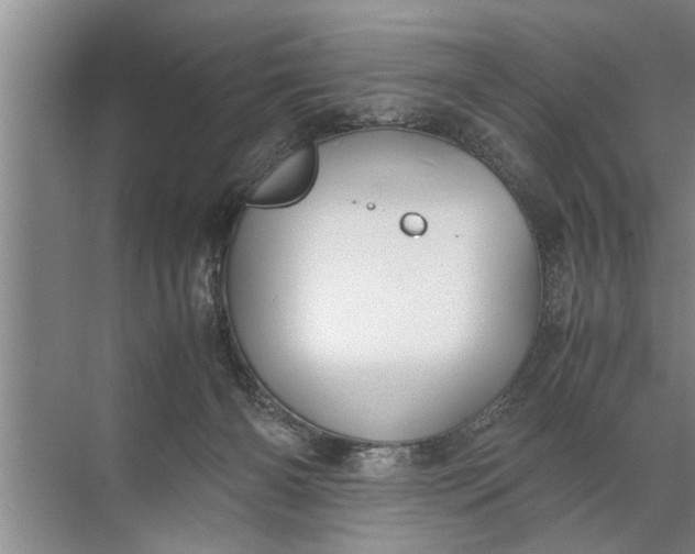 X0000072520126200607290208