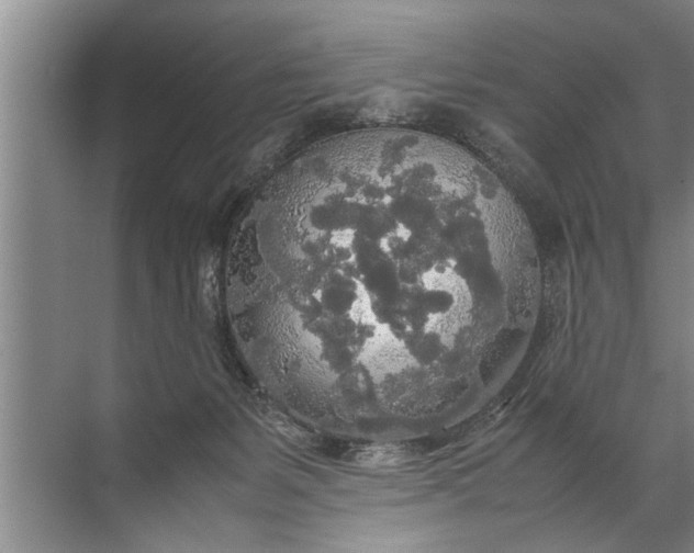 X0000072520127200607290208