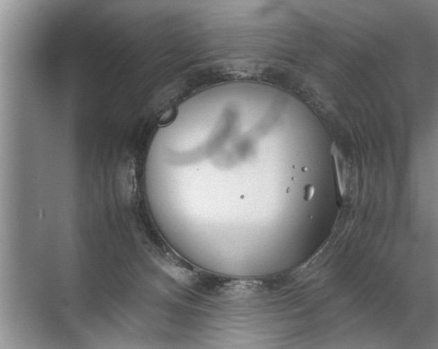 X0000072520128200607290208