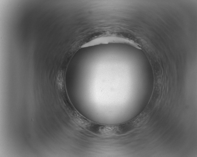 X0000072520129200607290208