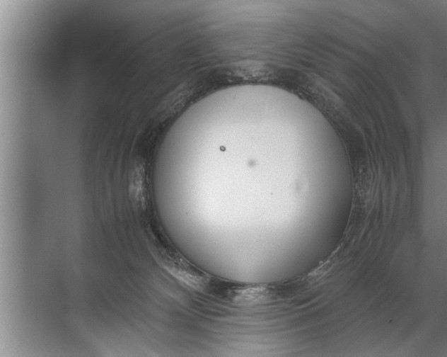 X0000072520132200607290208