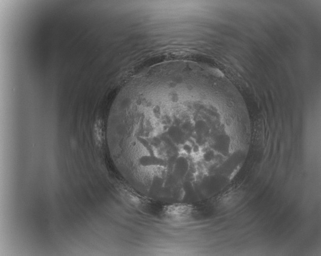 X0000072520135200607290208