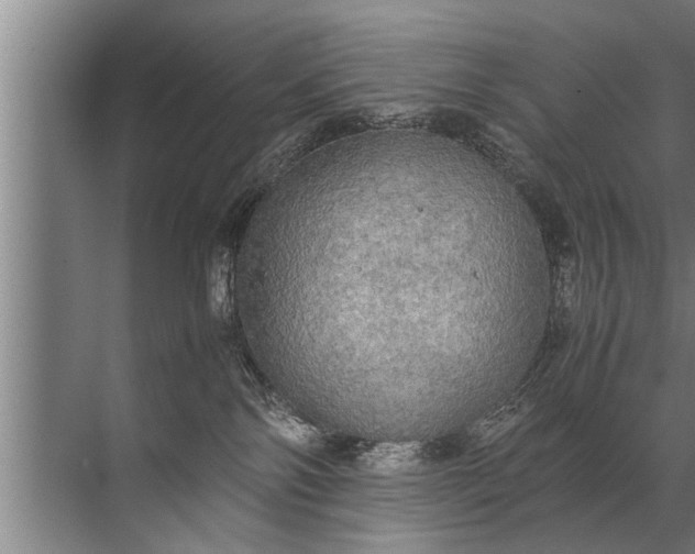 X0000072520138200607290208