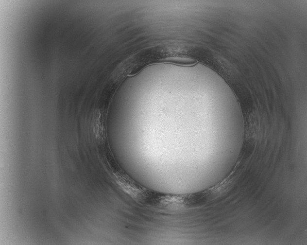 X0000072520140200607290208