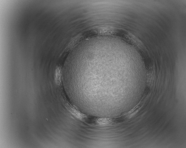 X0000072520142200607290208