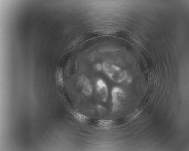 X0000072520143200607290208