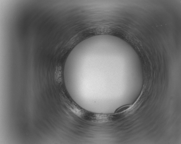 X0000072520144200607290208