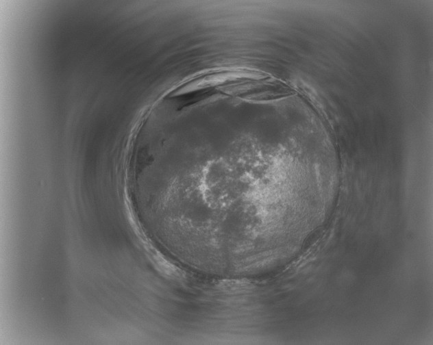 X0000072520145200607290207