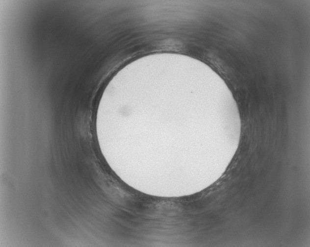 X0000072520146200607290207