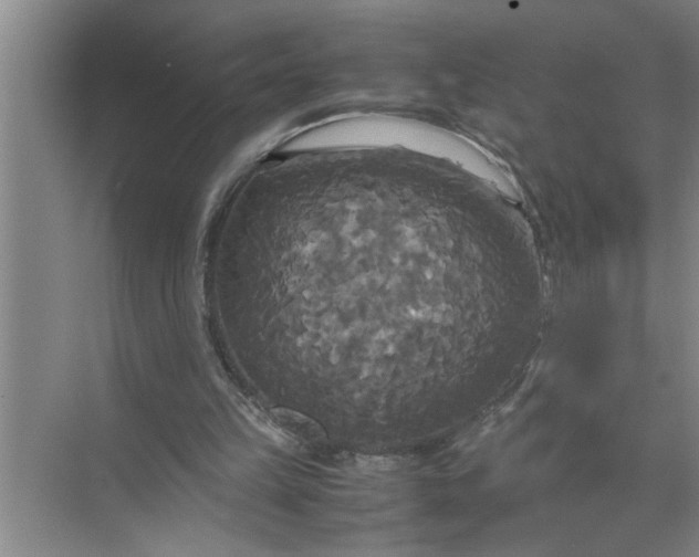 X0000072520149200607290207