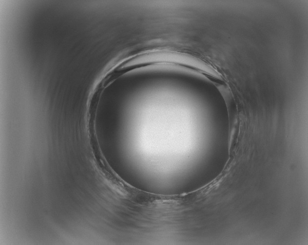 X0000072520150200607290207