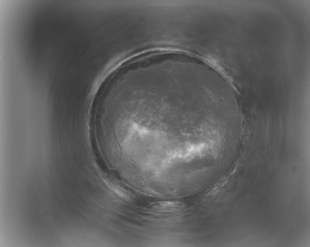 X0000072520151200607290207