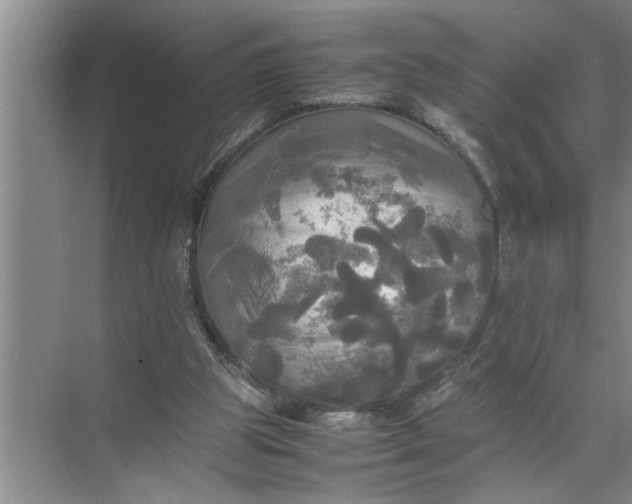 X0000072520153200607290207