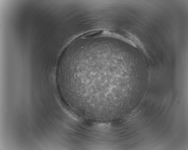 X0000072520155200607290207