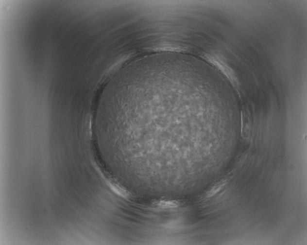 X0000072520157200607290207