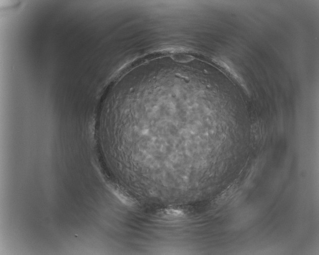 X0000072520159200607290207