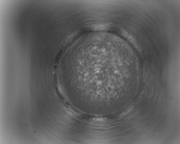 X0000072520161200607290207