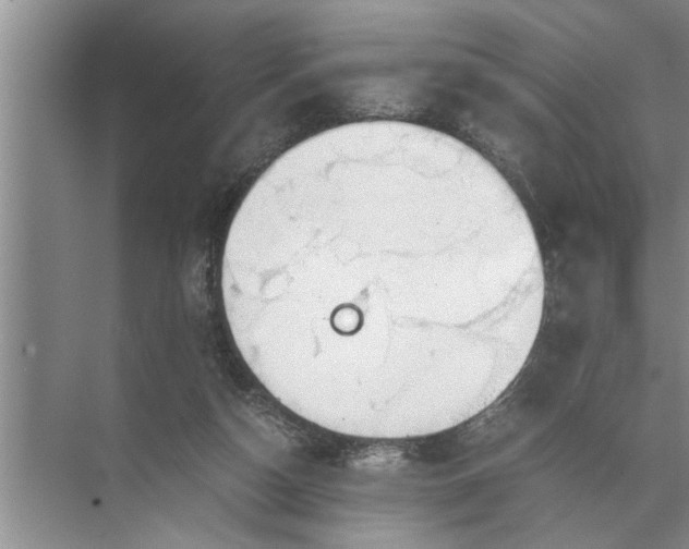 X0000072520162200607290207