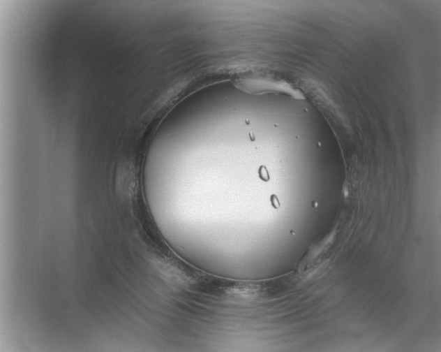 X0000072520164200607290207