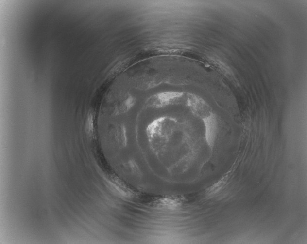 X0000072520166200607290207