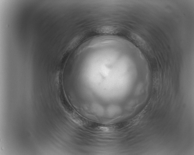 X0000072520167200607290207